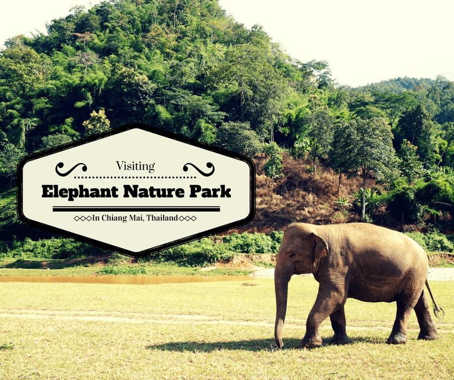 The Unique Condo Nimman Chiang Mai Dış mekan fotoğraf
