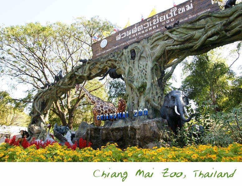 The Unique Condo Nimman Chiang Mai Dış mekan fotoğraf